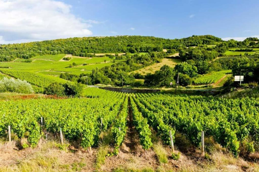 Tintin - Locationtournus Tournus Exterior foto